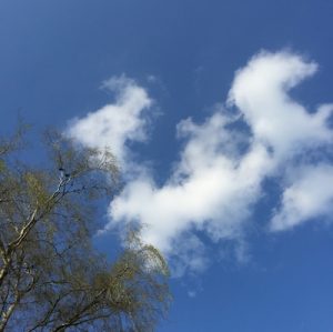 De lucht is blauw